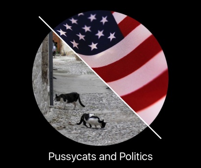 Pussycats and Politics_4